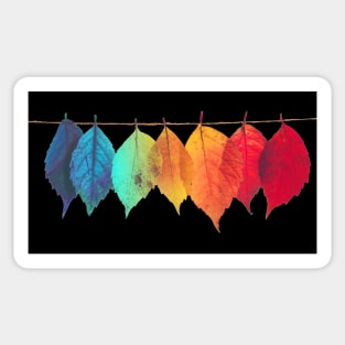 Rainbow Colored Leaves Sticker